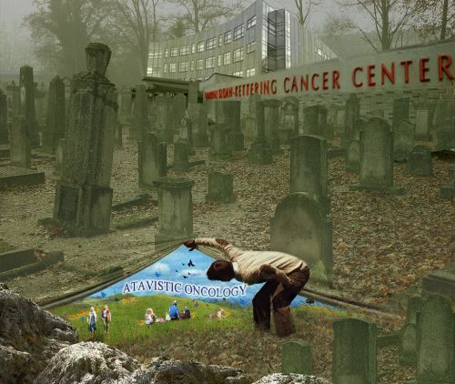 Mirando hacia el horizonte. (Imagen de un anuncio de swissre.com).